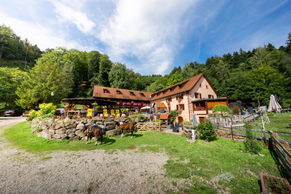 Auberge du Melkerhof - Hôtel nature à Thannenkirch (alentours de Bergheim Ribeauvillé Riquewihr)